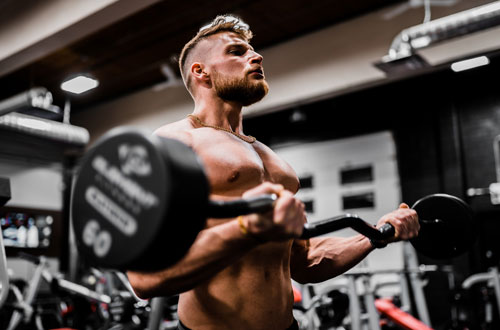 what is hip and waist ratio